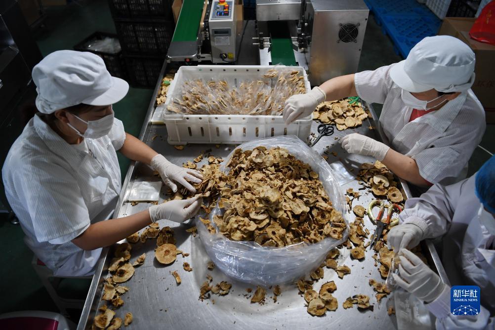 东森游戏平台